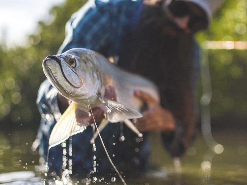 Experience world-class fishing in Indian River County, FL