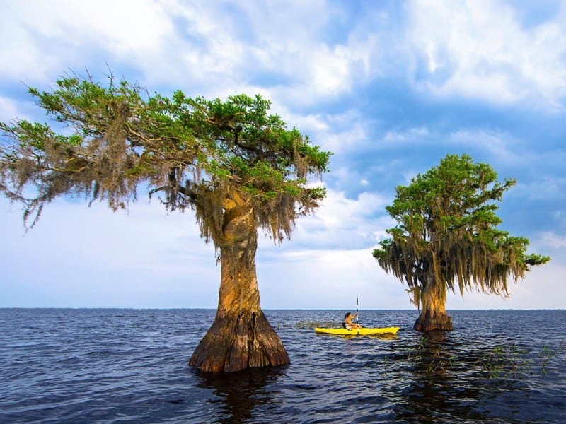 Kayaking on Blue Cypress Lake