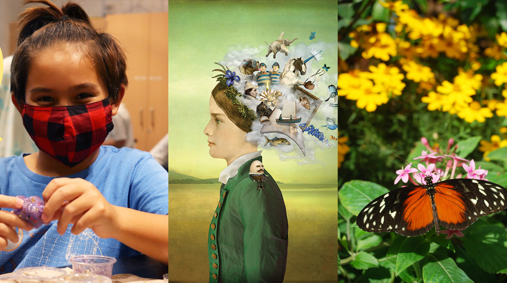 child at the cade museum, artwork at the harn museum, butterfly at the florida museum