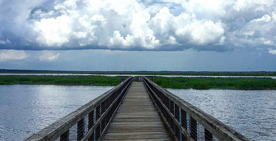 boardwalk at paynes prairie