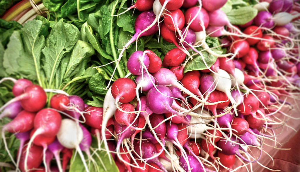 radishes at farmer's market