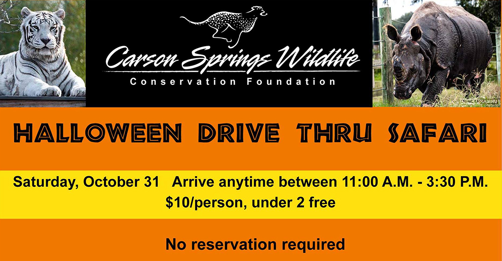 halloween drive thru safari at carson springs