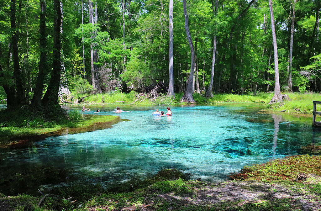 people swimming in blue springs