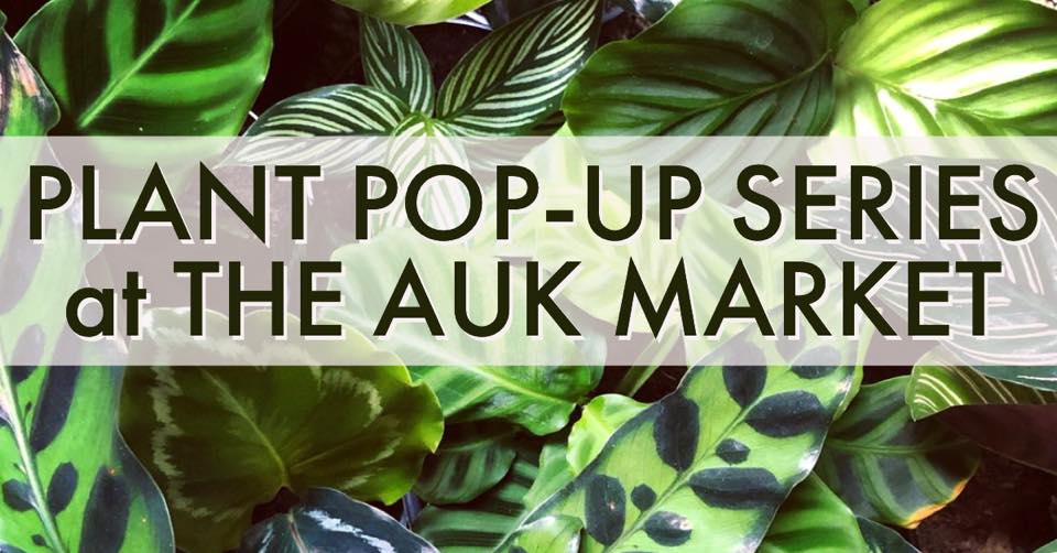 plant pop up series at the auk market