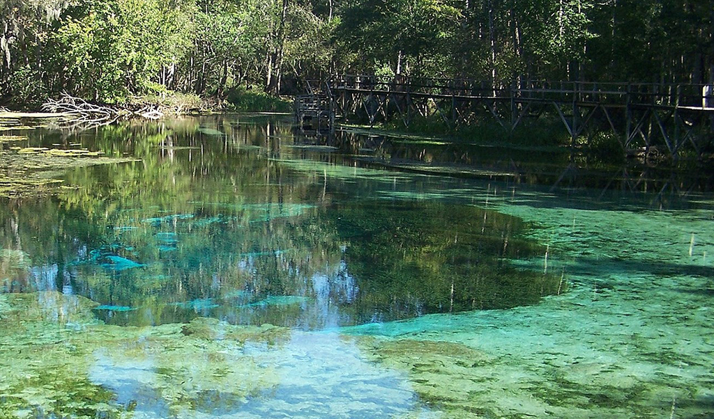 Blue springs