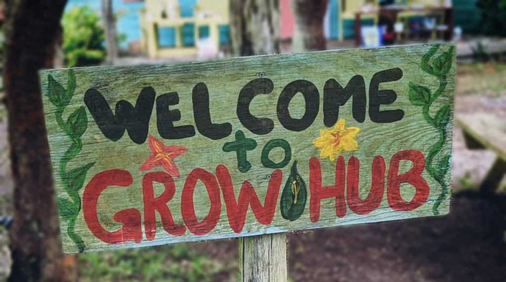 welcome to grow hub