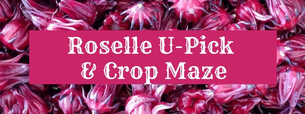 roselle u pick and crop maze