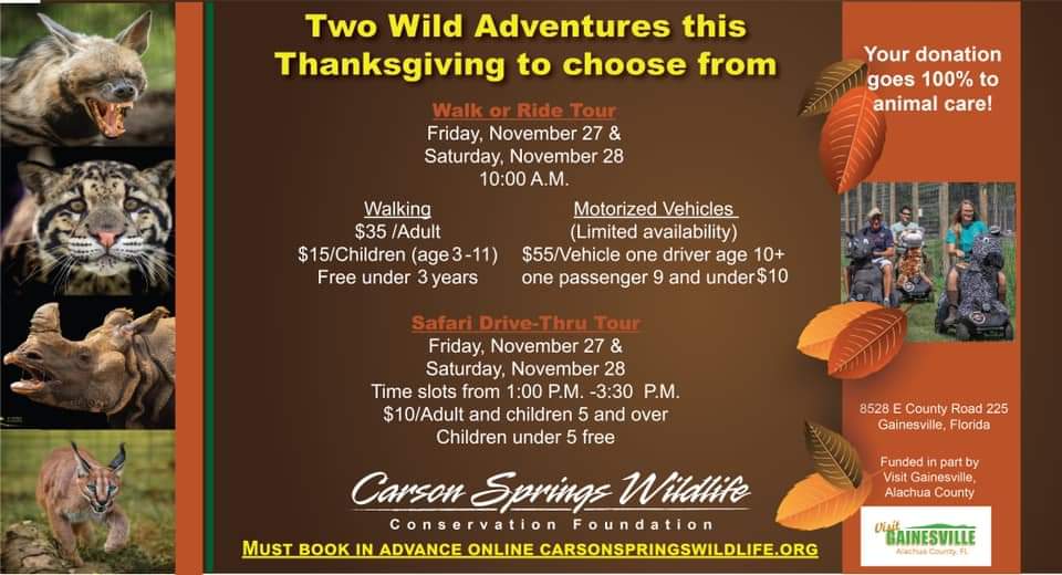 thanksgiving safari tours