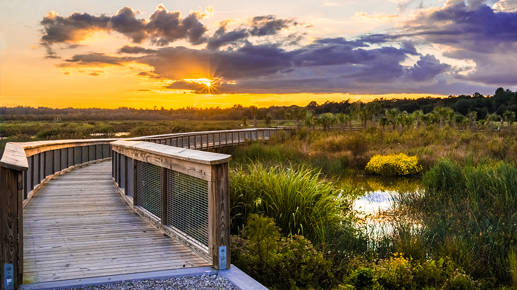 sweetwater wetlands park