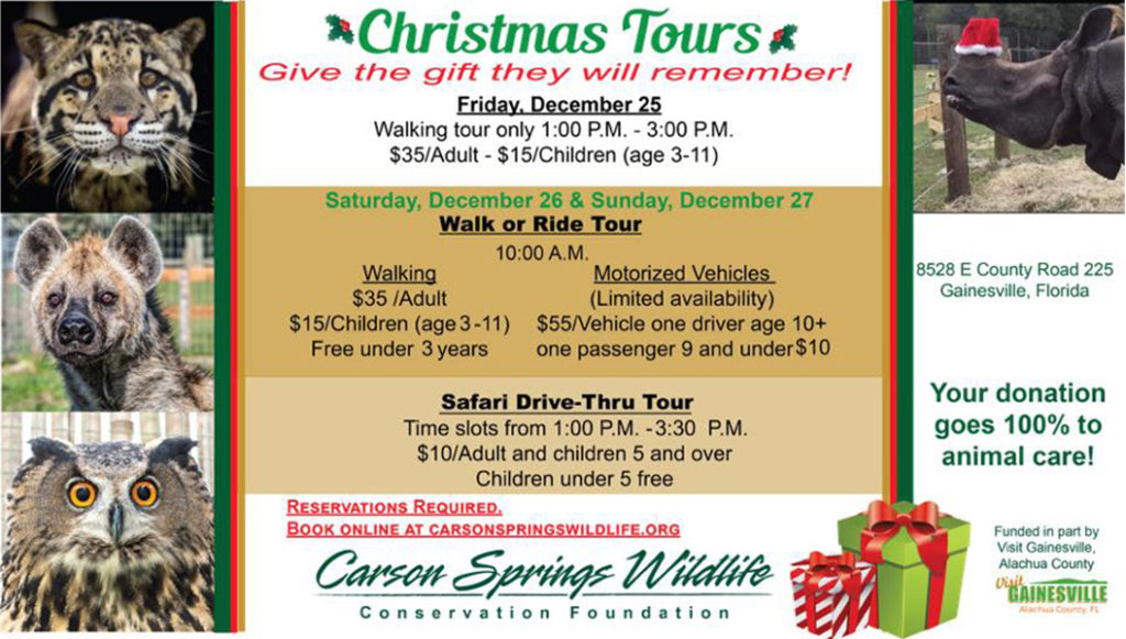 carson springs Christmas tours poster