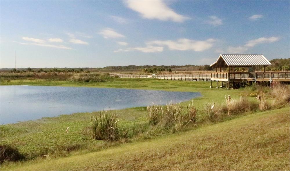 Sweetwater Wetlands Park water and land