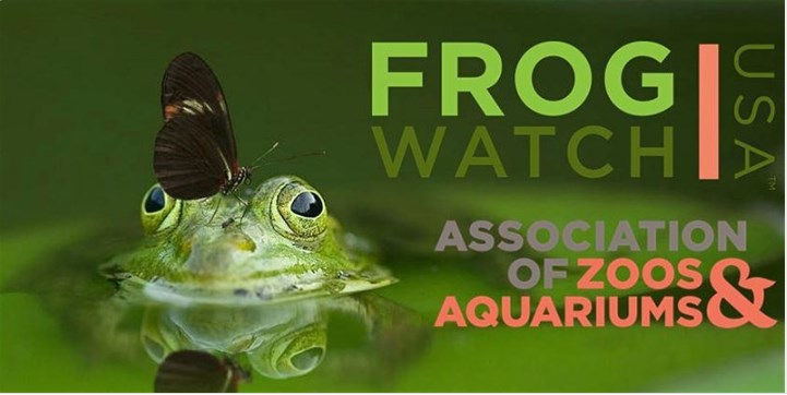 frogwatch usa