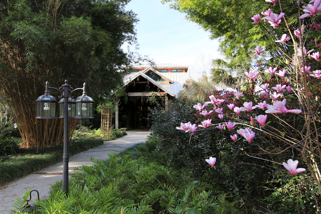 Entrance to Kanapaha Botanical gardens with tall bamboo and flowers