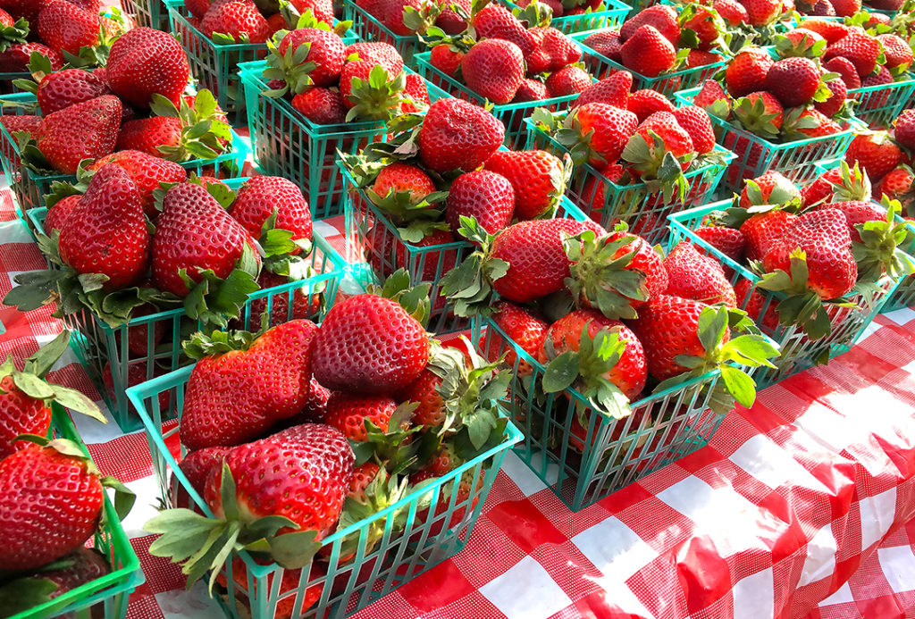 Strawberries at the farmers market