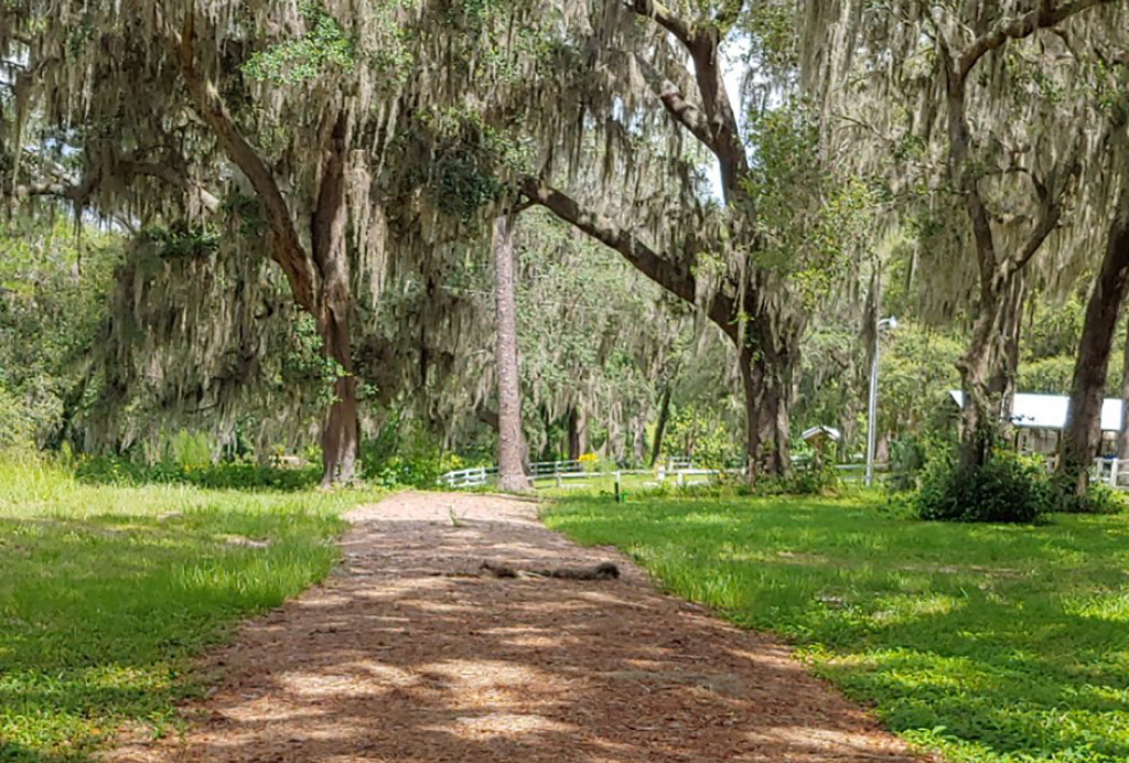 little orange creek trail