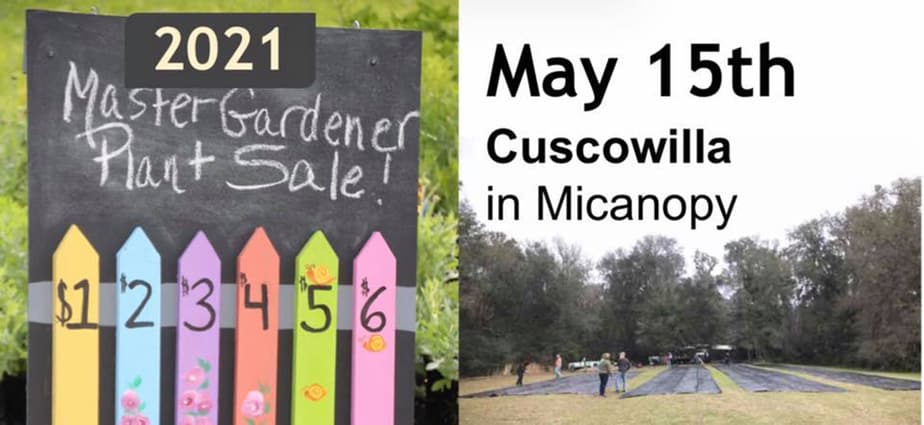 master gardener plant sale