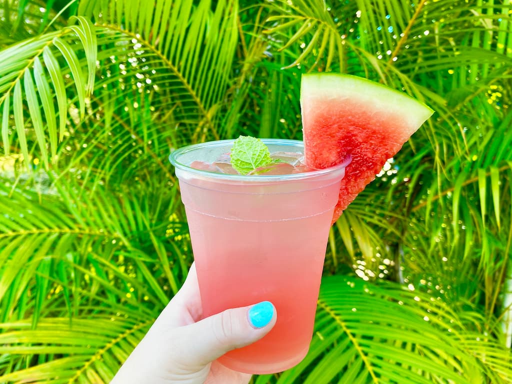 Awe-Summer Watermelon Lemonade at LEGOLAND