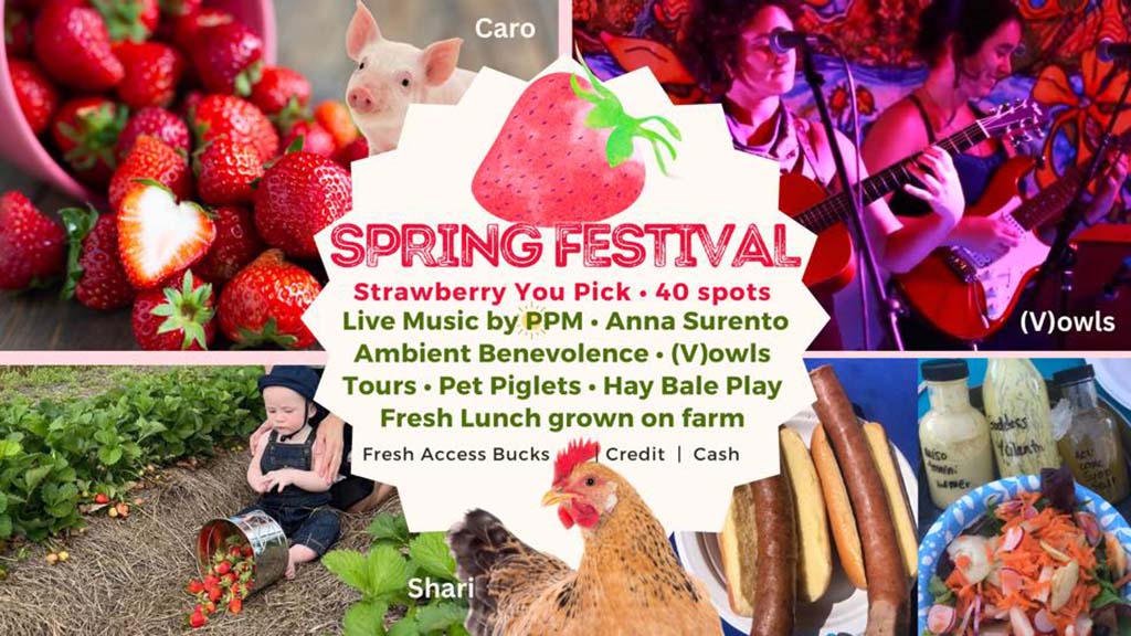 spring festival at frog song organics