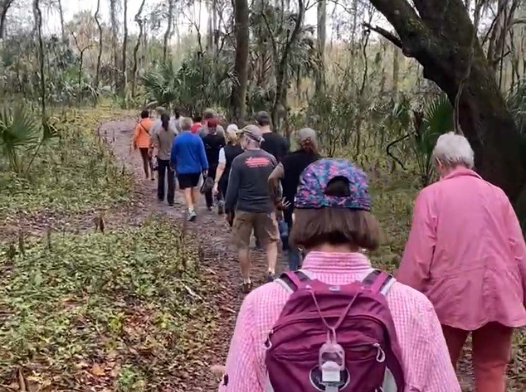 group hiking at paynes prairie