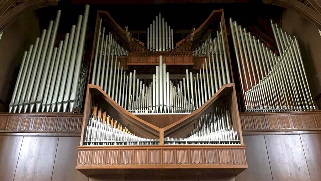 organ