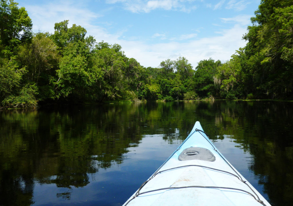 Paddling on the Santa Fe River