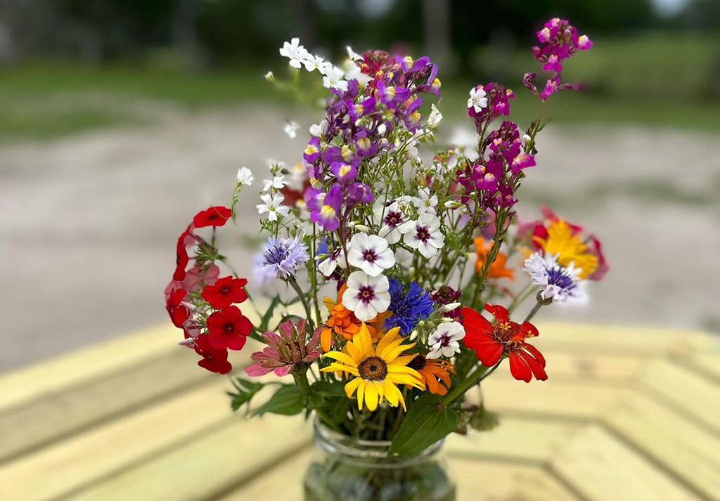 wildflowers in jar