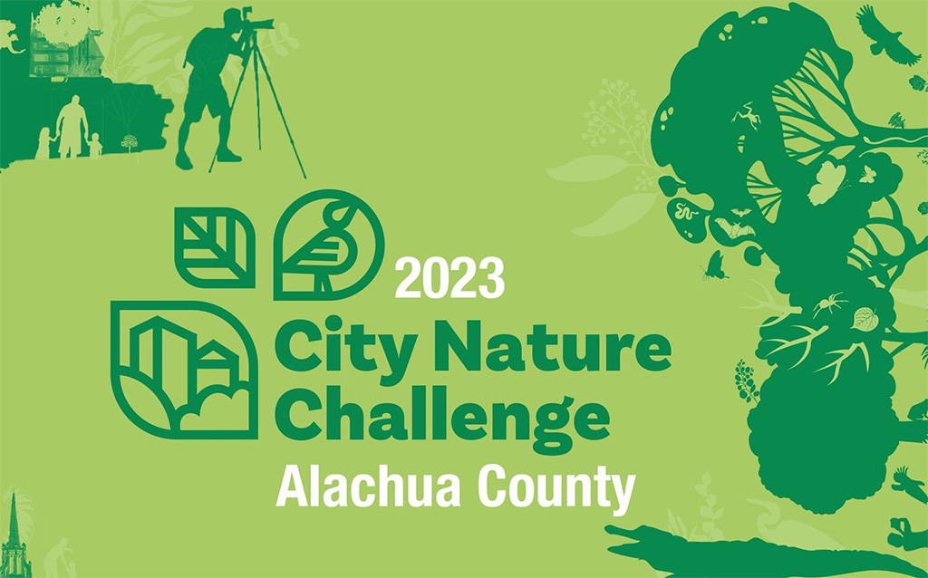 city nature challenge