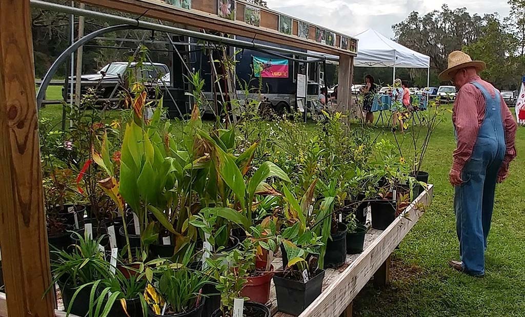 dudley farm plant sale