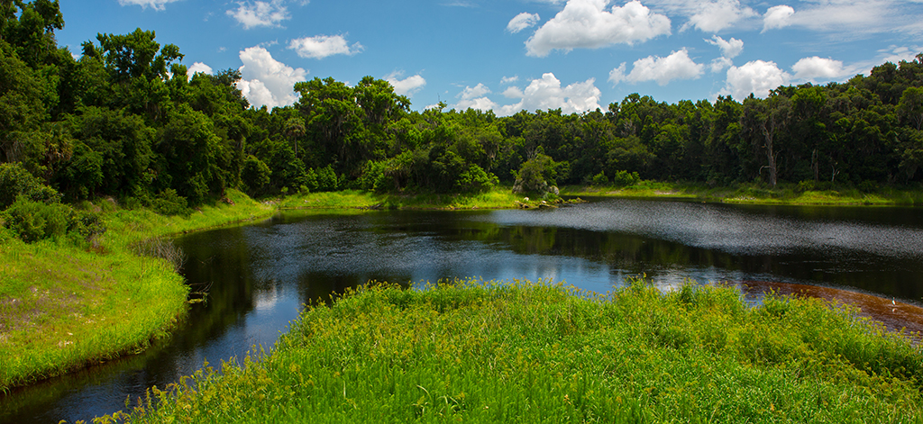 paynes prairie