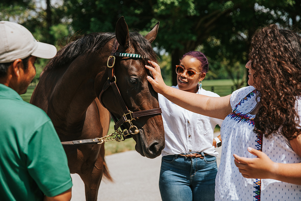 people interacting with horse