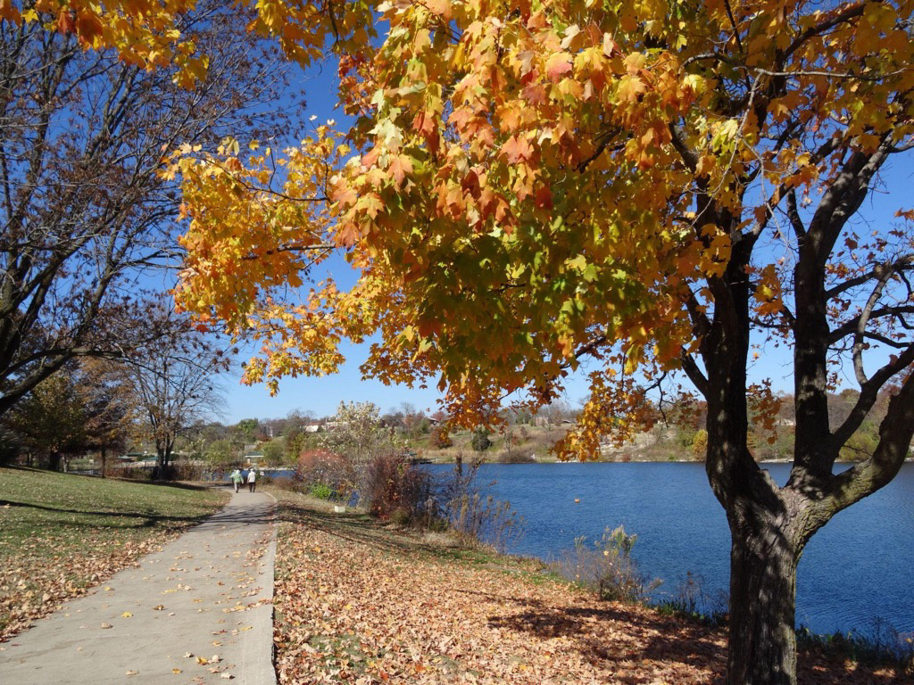 Stephens Lake Park