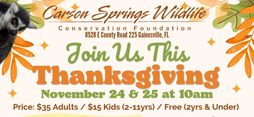 carson springs thanksgiving tours