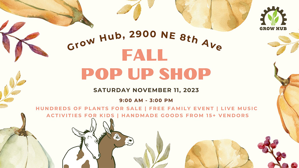 grow hub fall pop up shop