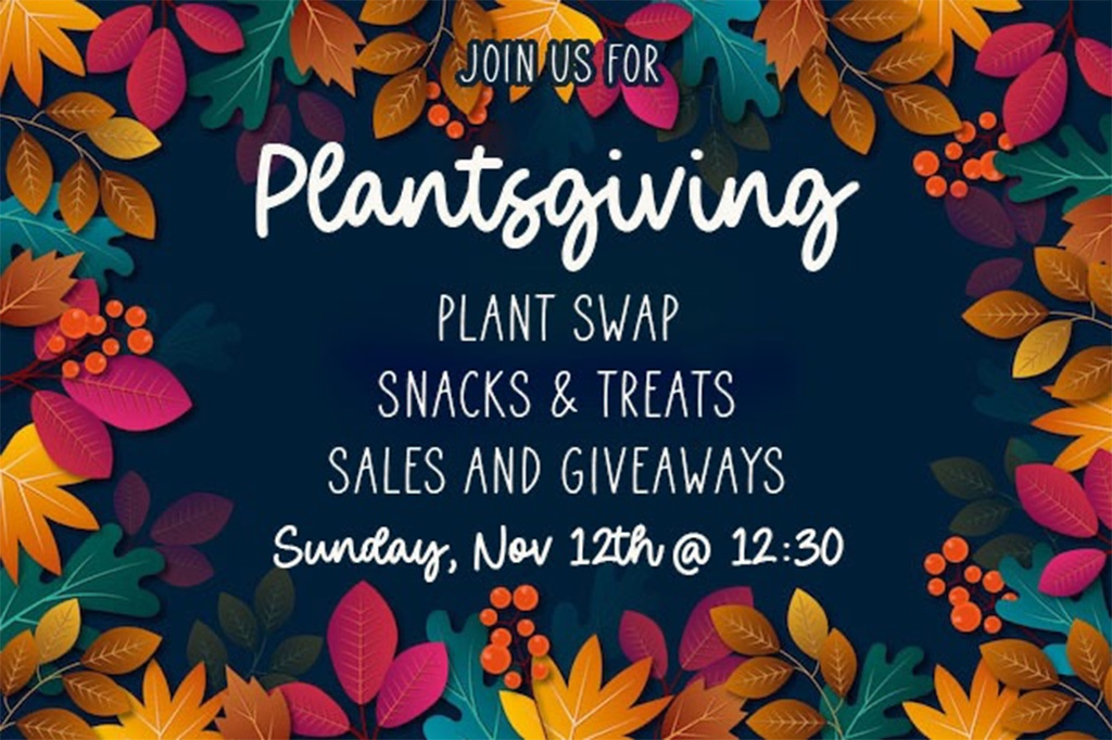 plantsgiving plant swap