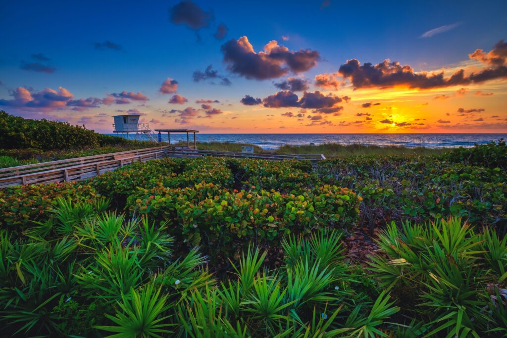 A Sunrise over Jensen Beach showing vegetation, a boardwalk and waves