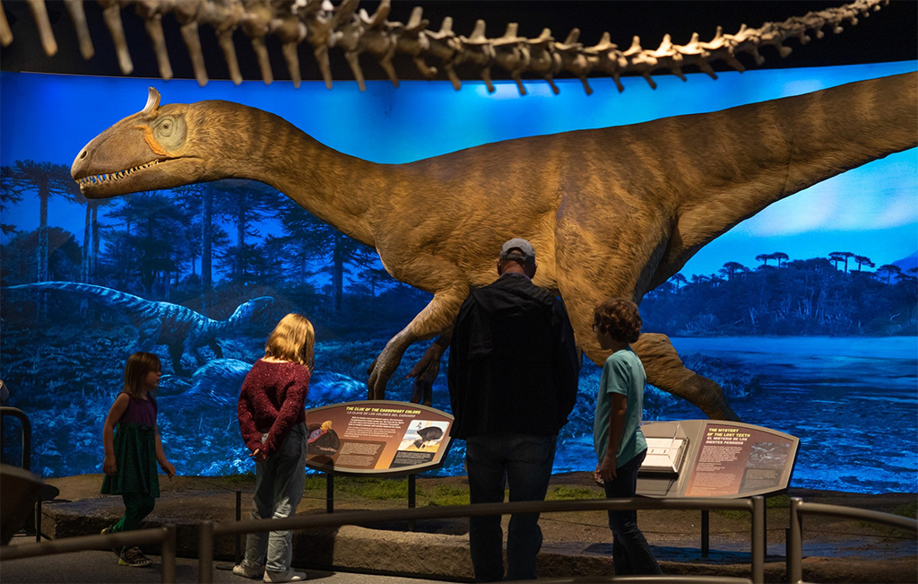 people looking at dinosaur exhibit