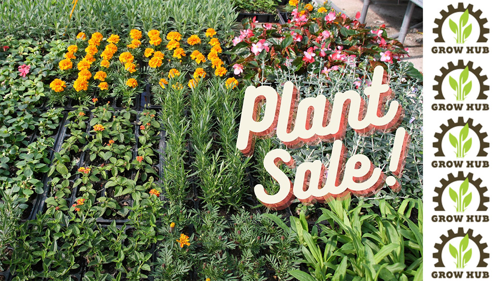 plant sale